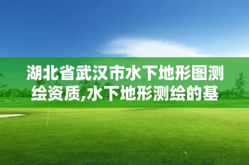 湖北省武汉市水下地形图测绘资质,水下地形测绘的基本内容。