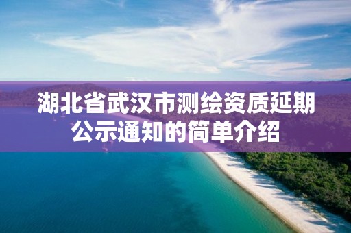 湖北省武汉市测绘资质延期公示通知的简单介绍