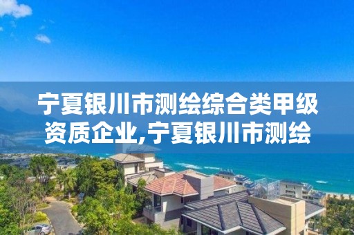 宁夏银川市测绘综合类甲级资质企业,宁夏银川市测绘综合类甲级资质企业有哪些。