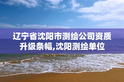 辽宁省沈阳市测绘公司资质升级条幅,沈阳测绘单位