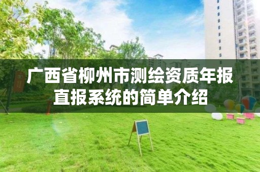 广西省柳州市测绘资质年报直报系统的简单介绍