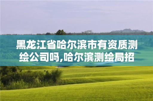 黑龙江省哈尔滨市有资质测绘公司吗,哈尔滨测绘局招聘信息