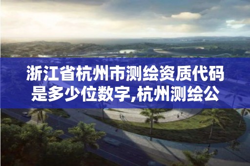 浙江省杭州市测绘资质代码是多少位数字,杭州测绘公司有哪几家。