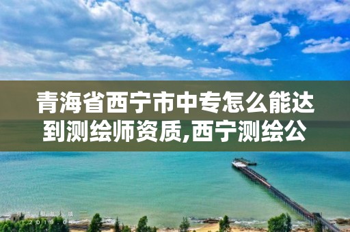 青海省西宁市中专怎么能达到测绘师资质,西宁测绘公司有哪些。