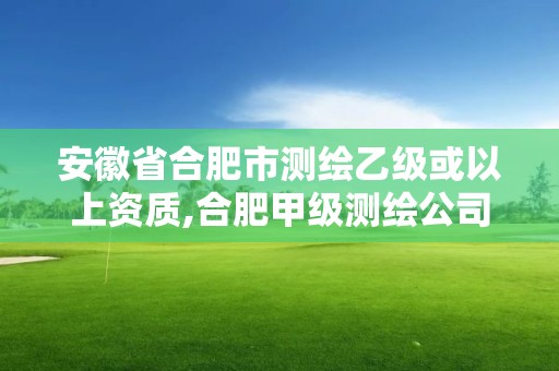 安徽省合肥市测绘乙级或以上资质,合肥甲级测绘公司排行