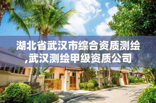 湖北省武汉市综合资质测绘,武汉测绘甲级资质公司