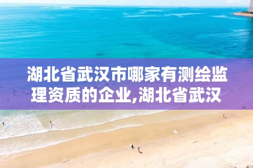 湖北省武汉市哪家有测绘监理资质的企业,湖北省武汉市哪家有测绘监理资质的企业。