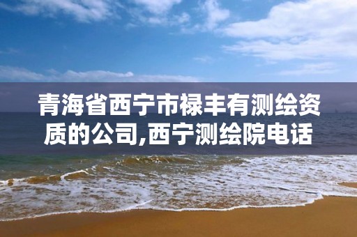 青海省西宁市禄丰有测绘资质的公司,西宁测绘院电话。