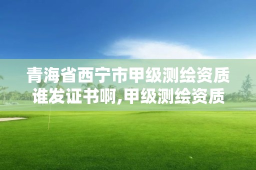 青海省西宁市甲级测绘资质谁发证书啊,甲级测绘资质单位名录2019。