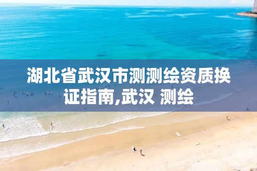 湖北省武汉市测测绘资质换证指南,武汉 测绘