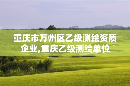 重庆市万州区乙级测绘资质企业,重庆乙级测绘单位