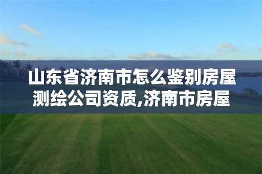 山东省济南市怎么鉴别房屋测绘公司资质,济南市房屋测绘院