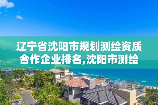 辽宁省沈阳市规划测绘资质合作企业排名,沈阳市测绘院是什么单位。