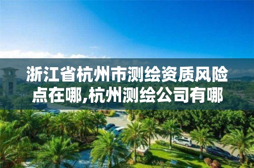 浙江省杭州市测绘资质风险点在哪,杭州测绘公司有哪几家