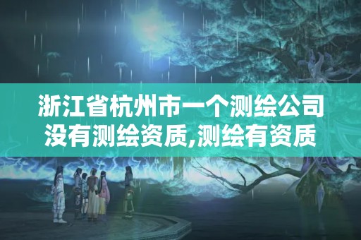 浙江省杭州市一个测绘公司没有测绘资质,测绘有资质吗