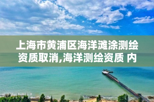 上海市黄浦区海洋滩涂测绘资质取消,海洋测绘资质 内容