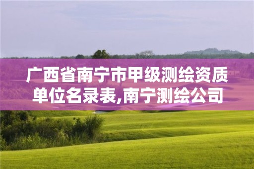 广西省南宁市甲级测绘资质单位名录表,南宁测绘公司招聘信息网。