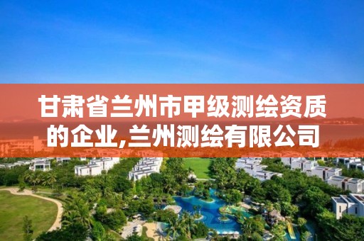 甘肃省兰州市甲级测绘资质的企业,兰州测绘有限公司