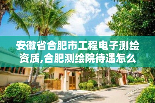 安徽省合肥市工程电子测绘资质,合肥测绘院待遇怎么样。