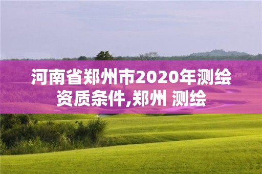 河南省郑州市2020年测绘资质条件,郑州 测绘