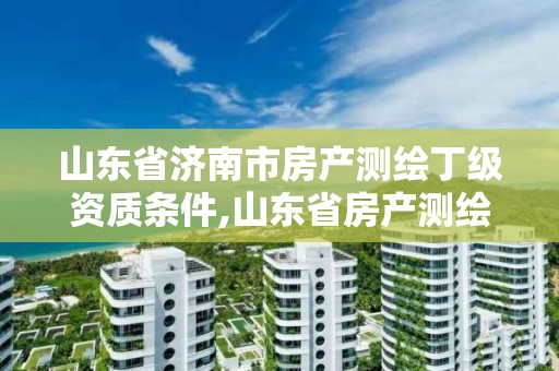 山东省济南市房产测绘丁级资质条件,山东省房产测绘收费标准