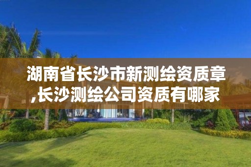 湖南省长沙市新测绘资质章,长沙测绘公司资质有哪家