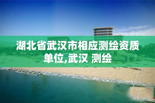 湖北省武汉市相应测绘资质单位,武汉 测绘