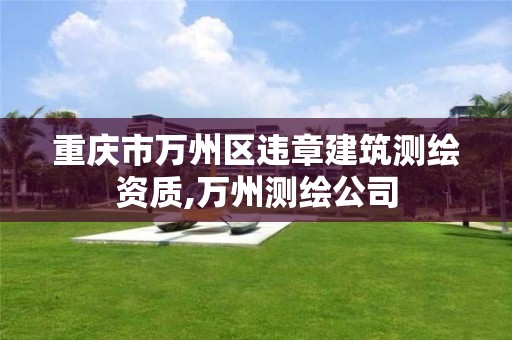 重庆市万州区违章建筑测绘资质,万州测绘公司