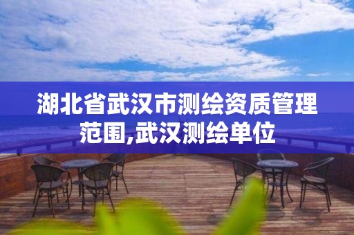 湖北省武汉市测绘资质管理范围,武汉测绘单位