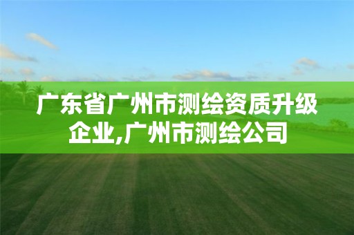 广东省广州市测绘资质升级企业,广州市测绘公司