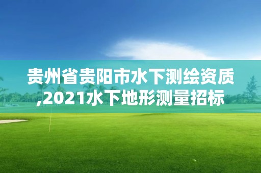 贵州省贵阳市水下测绘资质,2021水下地形测量招标