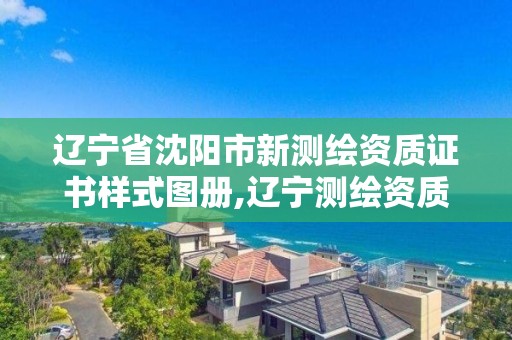 辽宁省沈阳市新测绘资质证书样式图册,辽宁测绘资质查询。