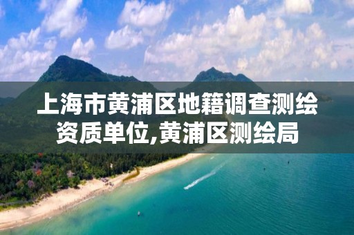 上海市黄浦区地籍调查测绘资质单位,黄浦区测绘局