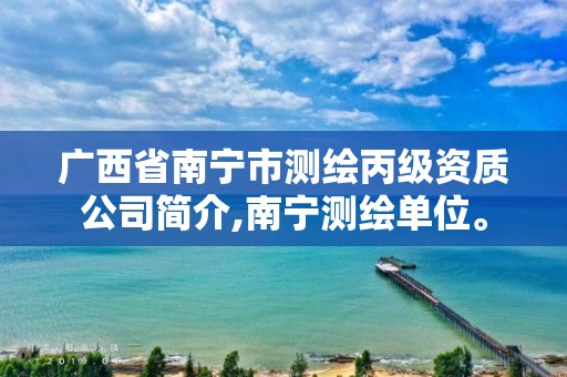 广西省南宁市测绘丙级资质公司简介,南宁测绘单位。