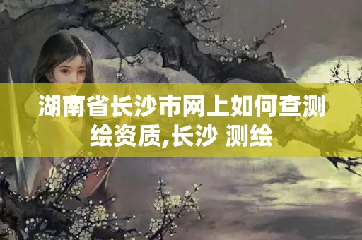 湖南省长沙市网上如何查测绘资质,长沙 测绘