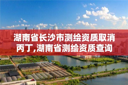 湖南省长沙市测绘资质取消丙丁,湖南省测绘资质查询