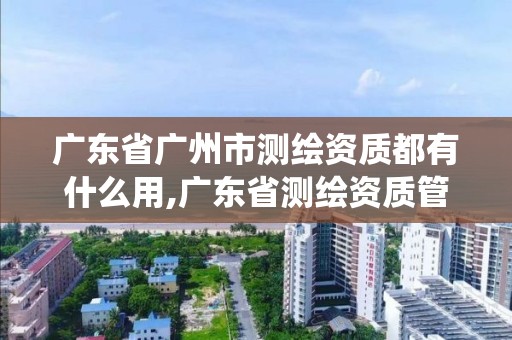 广东省广州市测绘资质都有什么用,广东省测绘资质管理系统。