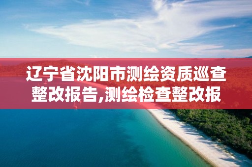 辽宁省沈阳市测绘资质巡查整改报告,测绘检查整改报告