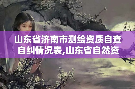 山东省济南市测绘资质自查自纠情况表,山东省自然资源厅测绘资质延期。