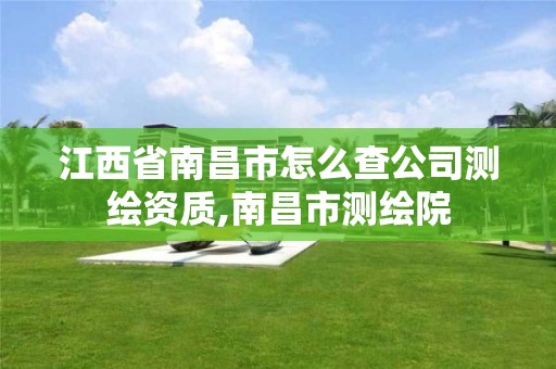 江西省南昌市怎么查公司测绘资质,南昌市测绘院