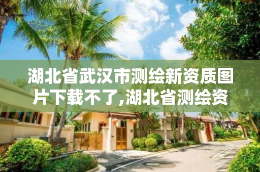 湖北省武汉市测绘新资质图片下载不了,湖北省测绘资质申请。