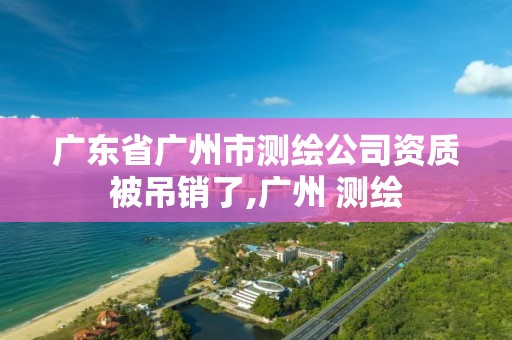 广东省广州市测绘公司资质被吊销了,广州 测绘