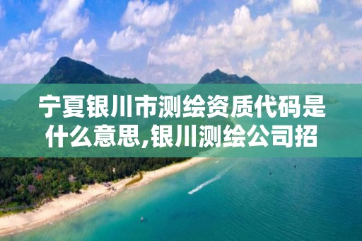 宁夏银川市测绘资质代码是什么意思,银川测绘公司招聘信息。