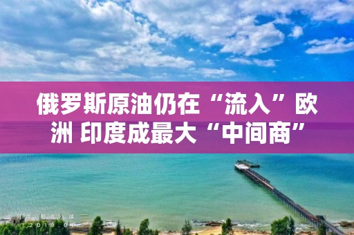 俄罗斯原油仍在“流入”欧洲 印度成最大“中间商”