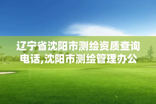 辽宁省沈阳市测绘资质查询电话,沈阳市测绘管理办公室