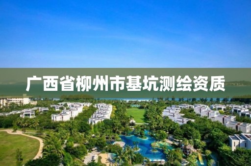 广西省柳州市基坑测绘资质