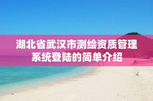 湖北省武汉市测绘资质管理系统登陆的简单介绍