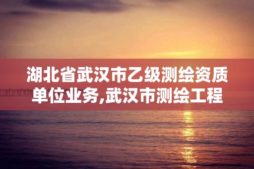 湖北省武汉市乙级测绘资质单位业务,武汉市测绘工程技术规定