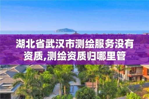 湖北省武汉市测绘服务没有资质,测绘资质归哪里管