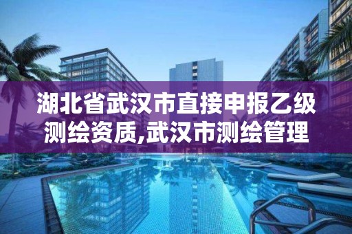 湖北省武汉市直接申报乙级测绘资质,武汉市测绘管理条例